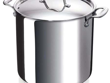 Alva Chef Stainless Steel Stock Pot with Lid Deep & Large 10.5 Qt Fashion