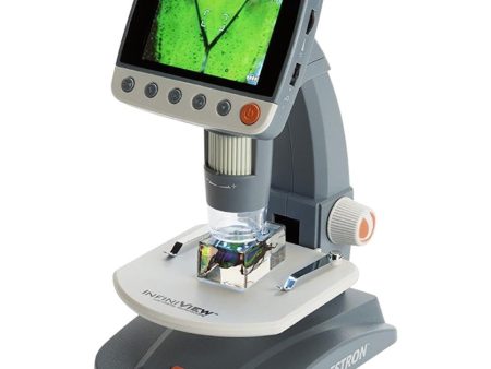 Celestron Infiniview LCD Digital Microscope, Black (44360) Online Hot Sale